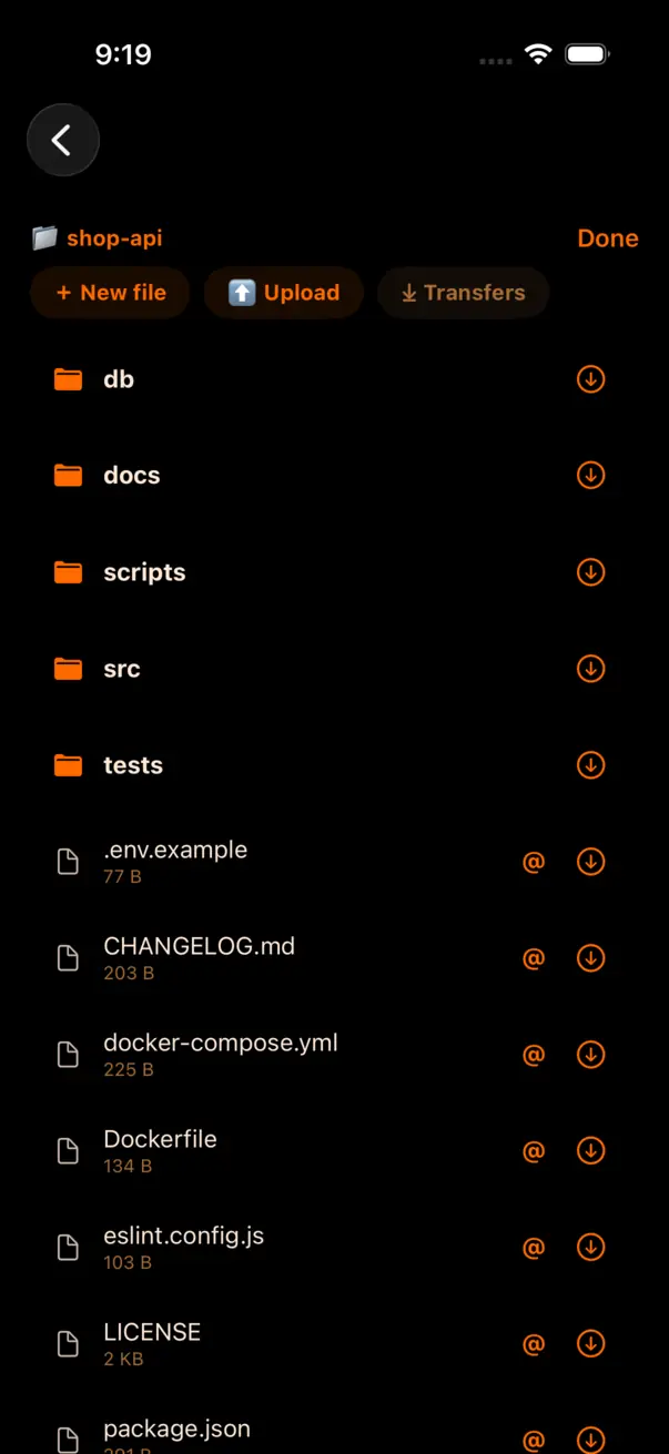 The project file browser