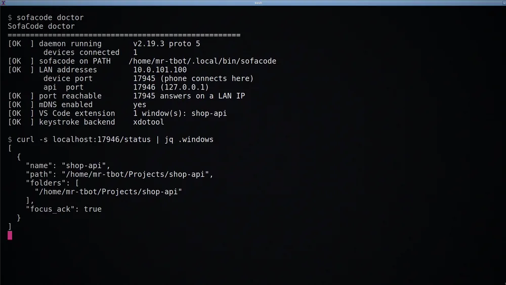 sofacode doctor output with every check OK, and the status endpoint listing the shop-api window.